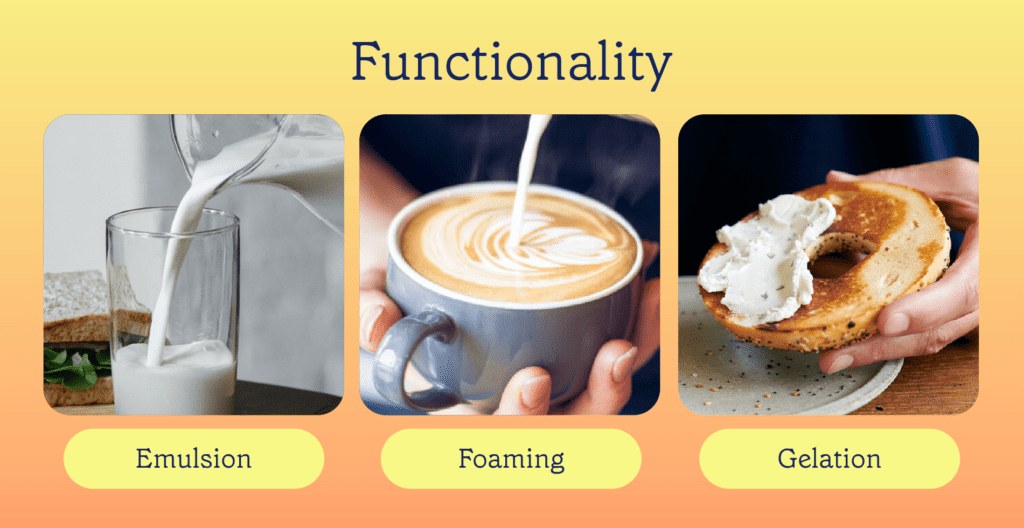 Functionality: Emulsion, Foaming, Gelation