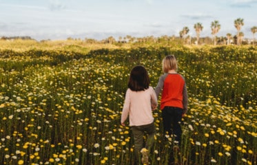 two children walking in a flower field