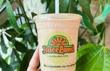 JuiceLand's The Chocolate Whey Smoothie with Perfect Day's animal-free dairy